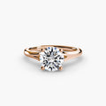 Completed Ring (United States Size 10.00)